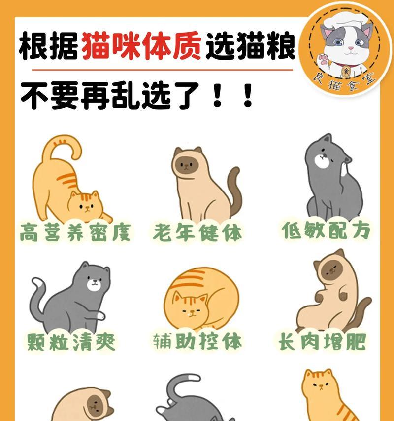 猫对猫粮的反应是什么？如何正确喂食猫粮？
