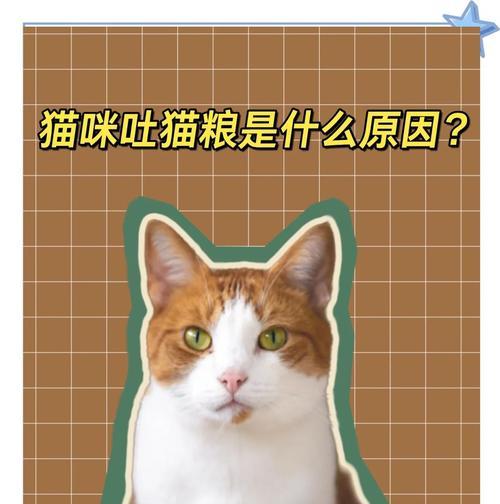 猫吃了猫粮之后总是吐怎么回事？可能的原因和解决方法是什么？