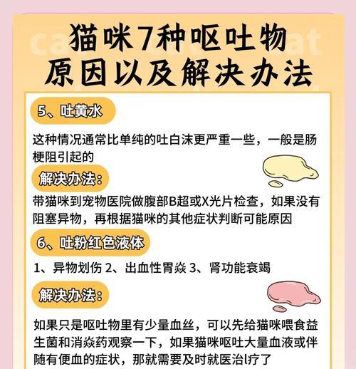猫咪猫粮过敏怎么吐？如何处理猫咪的猫粮过敏？