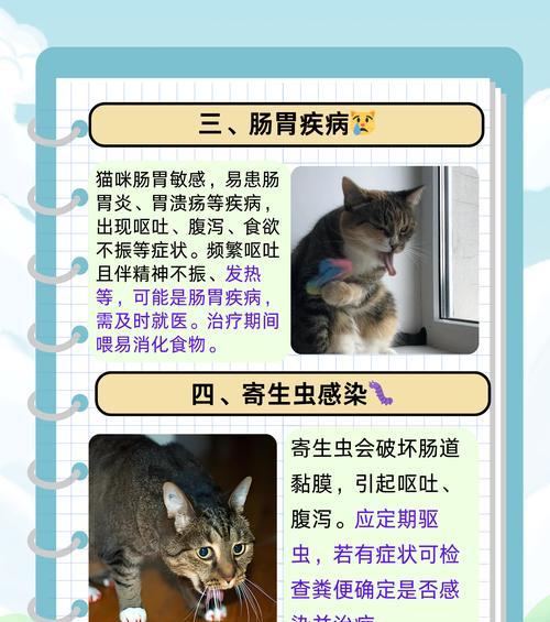 猫咪猫粮过敏怎么吐？如何处理猫咪的猫粮过敏？