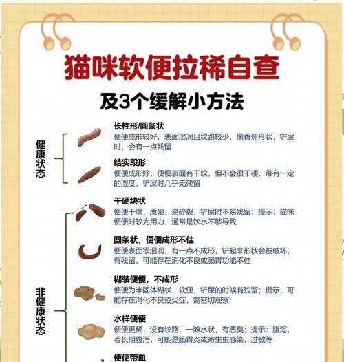 频繁更换猫粮导致猫咪拉稀怎么办？如何调整饮食？
