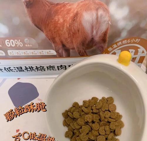 爱吃肉的猫没有猫粮了怎么办？紧急替代方案有哪些？