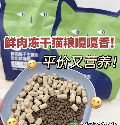 爱吃肉的猫没有猫粮了怎么办？紧急替代方案有哪些？