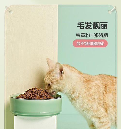 猫把湿纸巾放猫粮里会怎么样？对猫有什么影响？