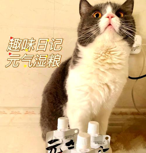 猫把湿纸巾放猫粮里会怎么样？对猫有什么影响？