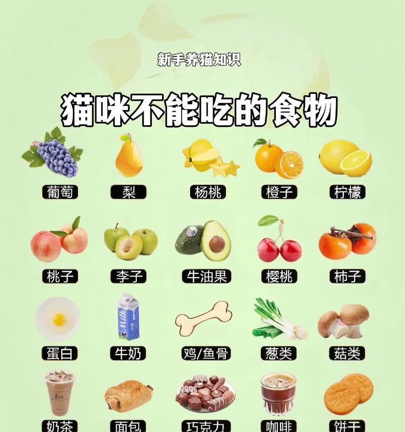 为何猫只爱吃肉不吃猫粮？