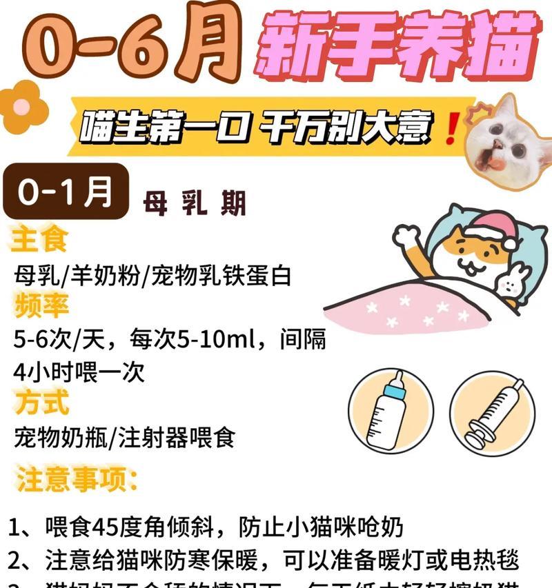 如何为奶味猫粮取一个吸引人的名字？