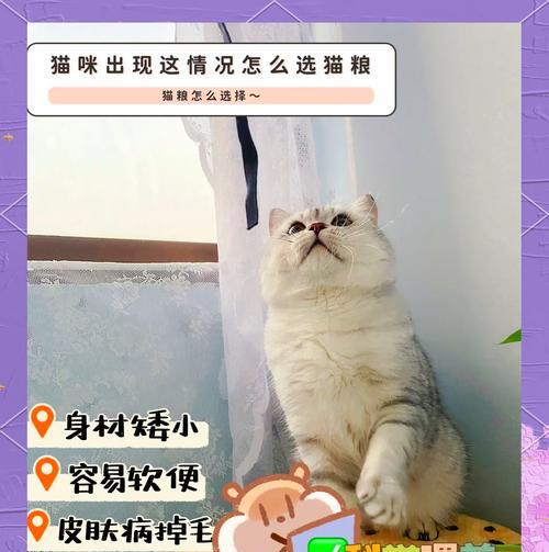猫咪食用猫粮后出现问题应如何处理？