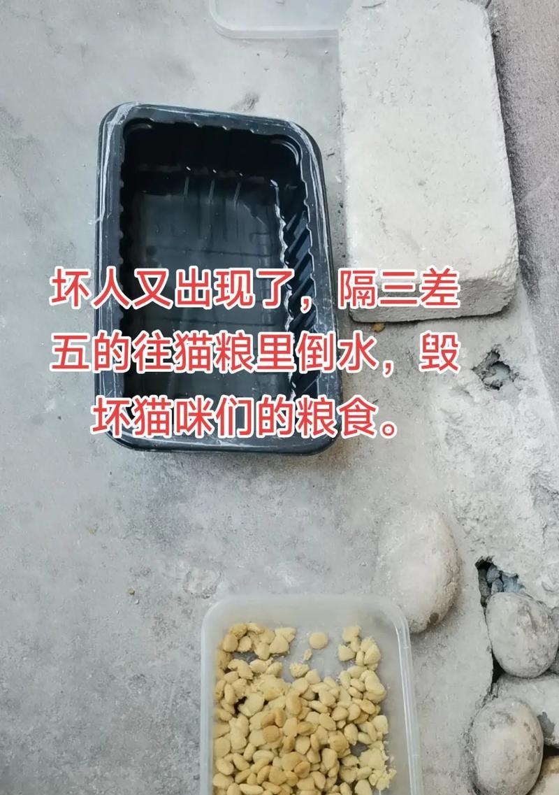 猫咪食用猫粮后出现问题应如何处理？