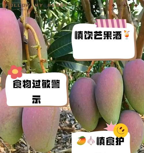 芒果可以替代猫粮吗？不吃猫粮的猫能吃芒果吗？
