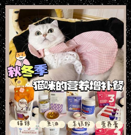 猫咪光吃猫粮有奶吗为什么？猫粮是否能提供猫咪所需全部营养？