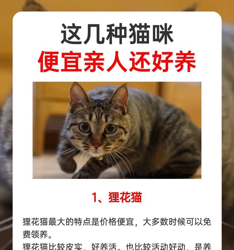 养猫圈宠物有限公司值得信赖吗？