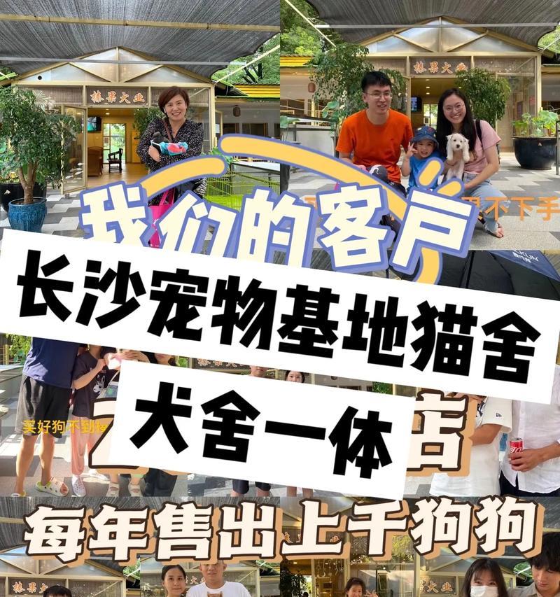 养猫圈宠物有限公司值得信赖吗？