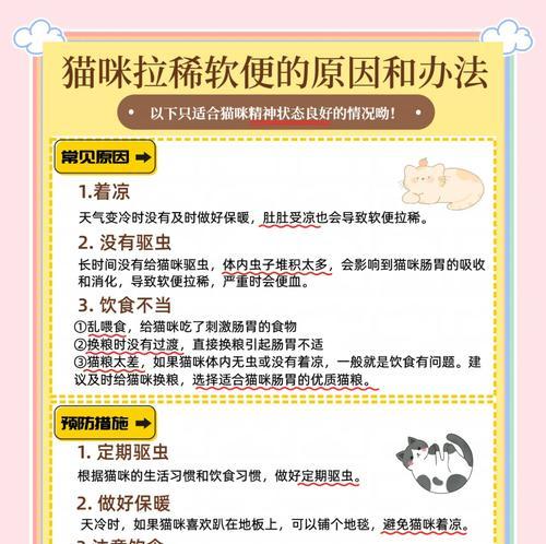 流浪布偶猫吃猫粮后呕吐怎么处理？