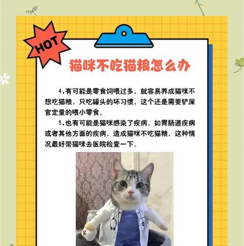 猫咪调皮吃猫粮的原因是什么？如何纠正这一行为？