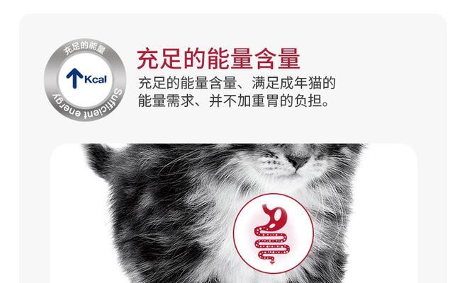 皇家肝脏处方猫粮的评价如何？它适合哪些猫咪？