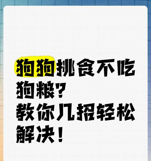 狗狗不吃自制狗粮怎么办？有哪些改善方法？