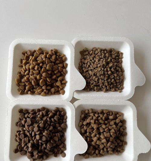 两个月小猫无猫粮可吃怎么办？有哪些替代食物？