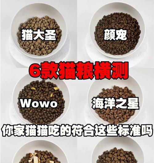 猫粮干湿转换的具体操作步骤是什么？