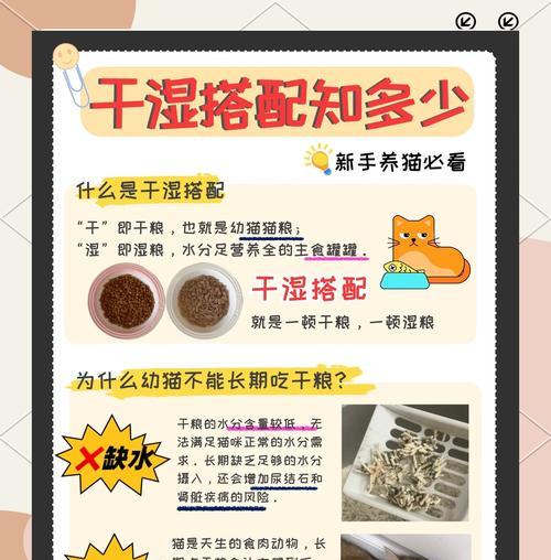 猫粮干湿转换的具体操作步骤是什么？