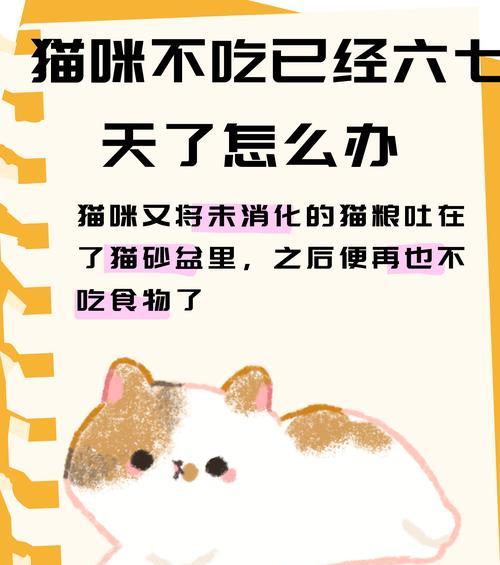 小猫咪第一次吃猫粮全吐出来了怎么办啊？如何正确引导小猫适应猫粮？