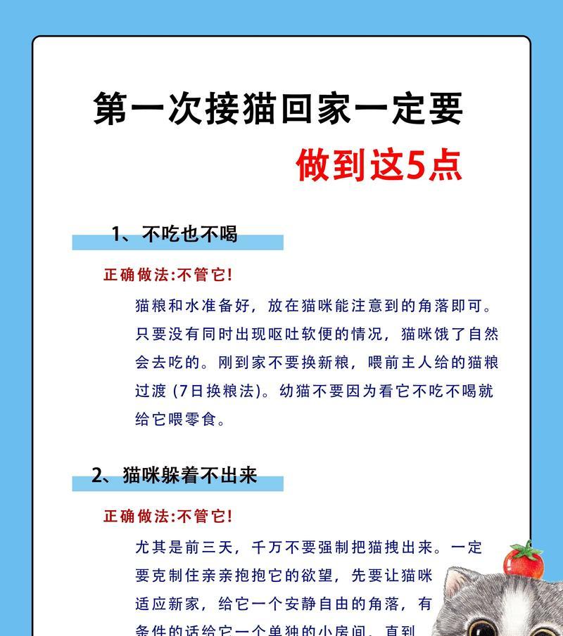 聪明的猫咪偷吃猫粮应如何应对？