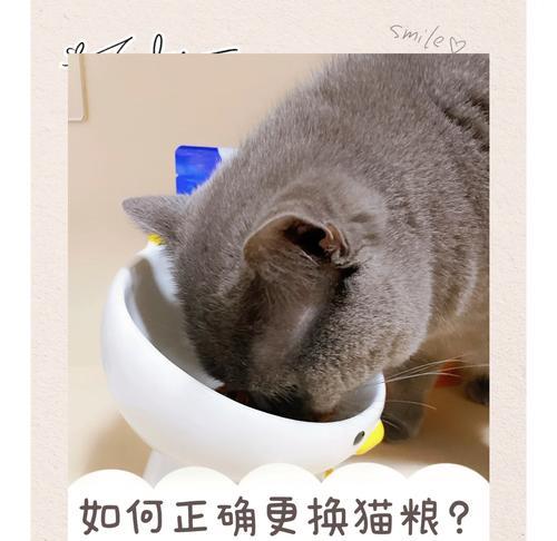 如何平稳过渡猫咪的猫粮更换？