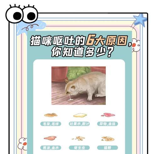 猫咪吐出黄色粘稠猫粮怎么办？可能的原因是什么？