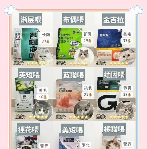 中华奶猫粮选择：哪些品牌更易消化？
