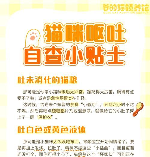 猫吐粮怎么办？如何预防和处理？