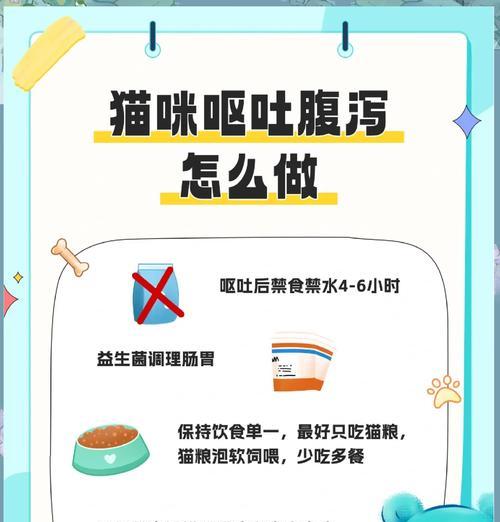 猫吐粮怎么办？如何预防和处理？
