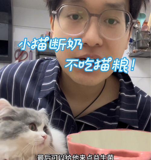 小猫吃猫粮不吞怎么办？需要调整喂食方式吗？