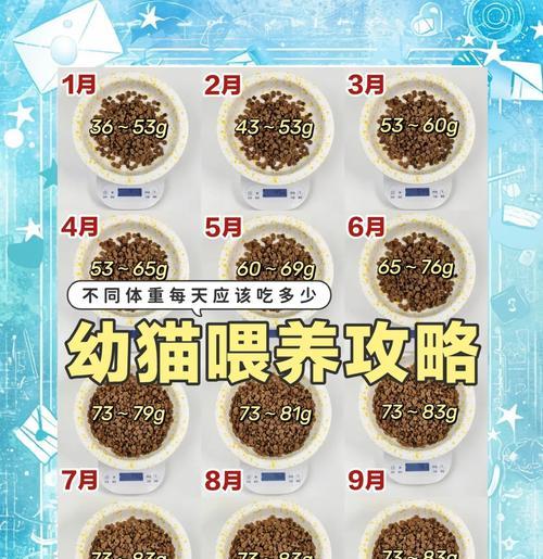 新生猫咪如何正确喂养猫粮？