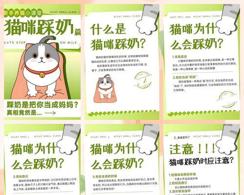 猫咪不采奶不吃猫粮的原因是什么？