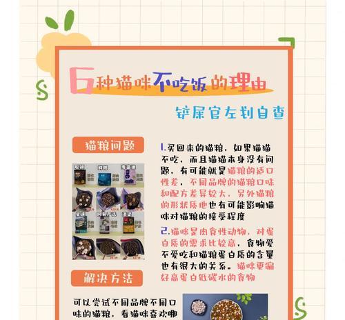 猫咪不采奶不吃猫粮的原因是什么？