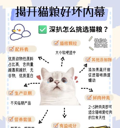 如何辨别并选择优质猫粮品牌？