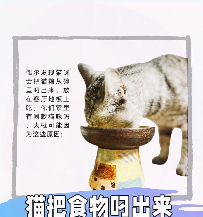 猫咪吃完猫粮后抛碗是什么行为？