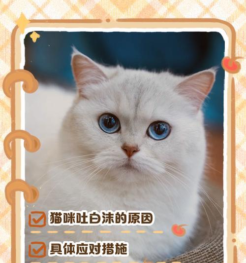 暹罗猫吐泡沫是猫粮问题吗？