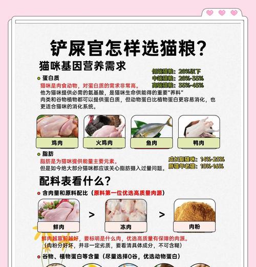 猫咪去宠物店买猫粮需要注意什么？如何选择合适的猫粮？