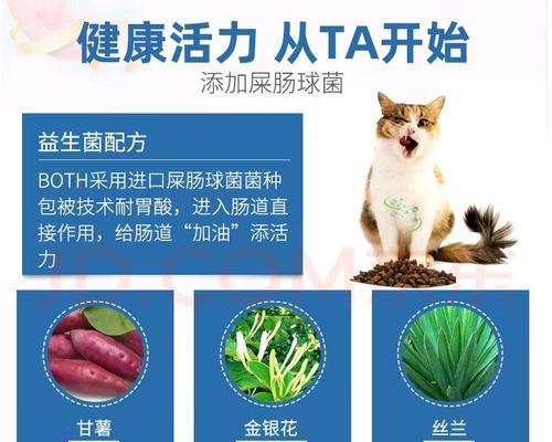 金吉拉猫咪适合哪种肉的猫粮？如何选择合适品牌？