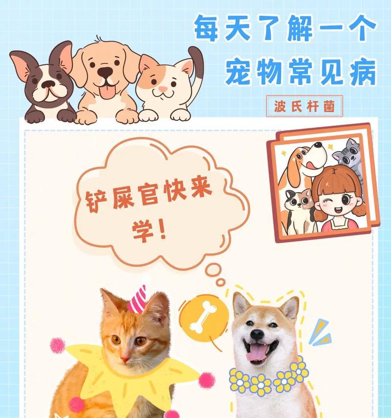 如何才能获得羊驼尼尔？获取途径有哪些？