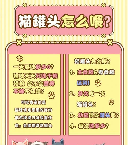 孕期猫咪只吃猫粮可以吗？该如何喂养？