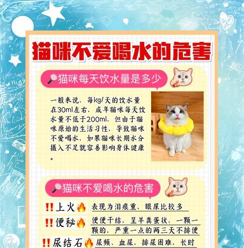 小猫为何要把猫粮叼进水里？如何解决这个问题？