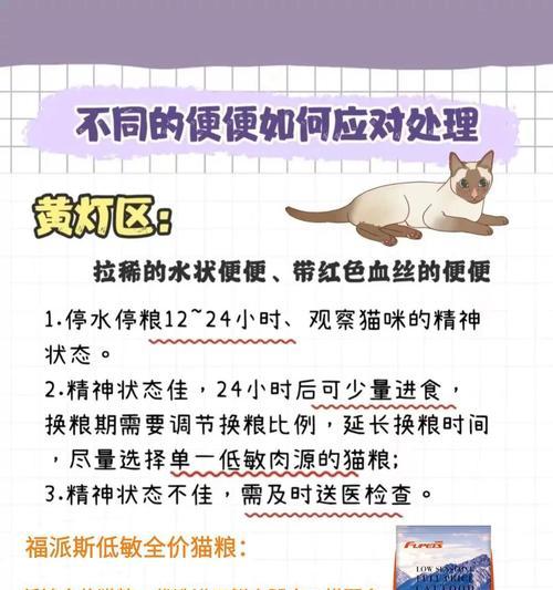 泡软猫粮后猫咪拉稀怎么办？如何调整喂食方法？