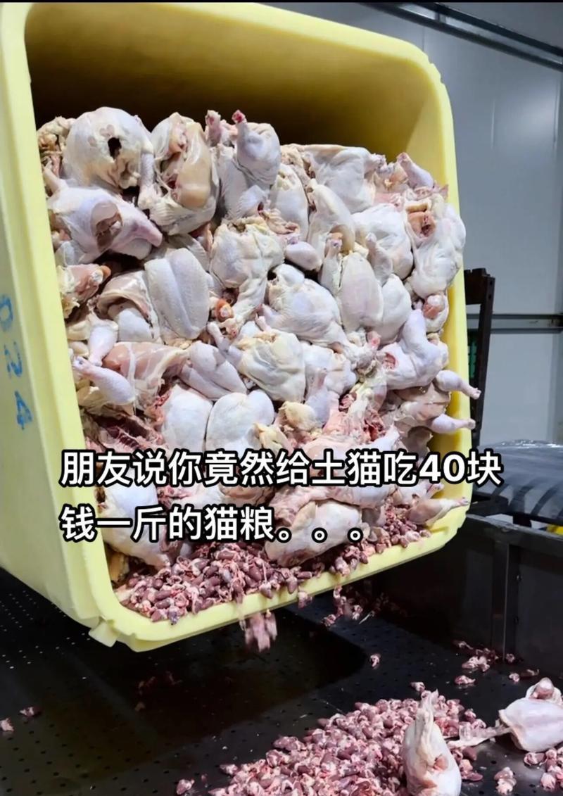土猫食用猫粮后为何体味加重？如何解决？