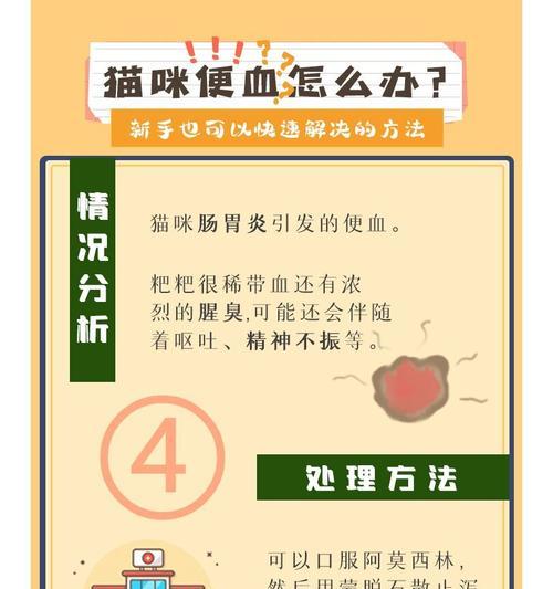 猫咪吃猫粮后便血是正常现象吗？可能的原因是什么？