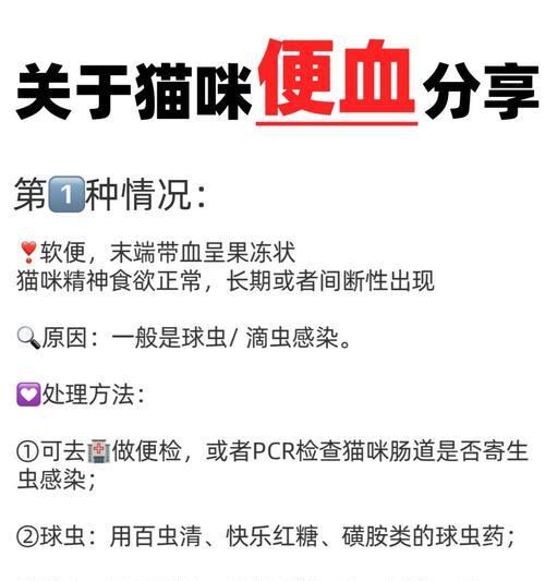 猫咪吃猫粮后便血是正常现象吗？可能的原因是什么？