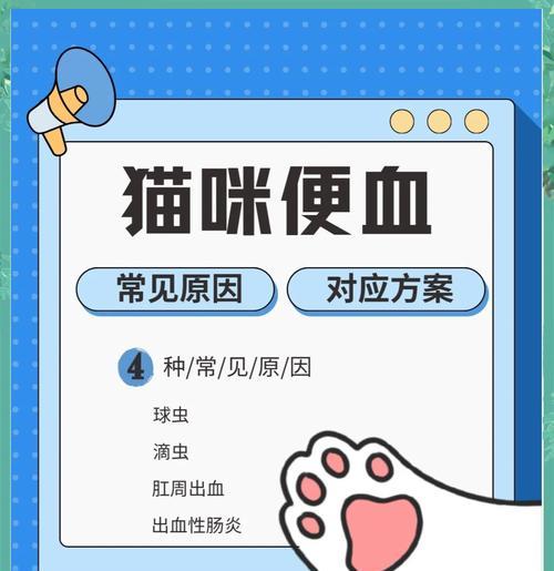 猫咪吃猫粮后便血是正常现象吗？可能的原因是什么？