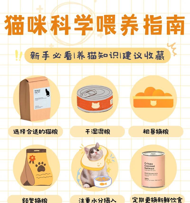 猫不喂猫粮怎么喂养好？猫咪的替代饮食有哪些选择？
