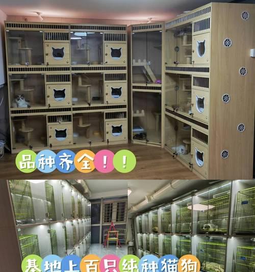 新北市场猫粮销售点在哪里？